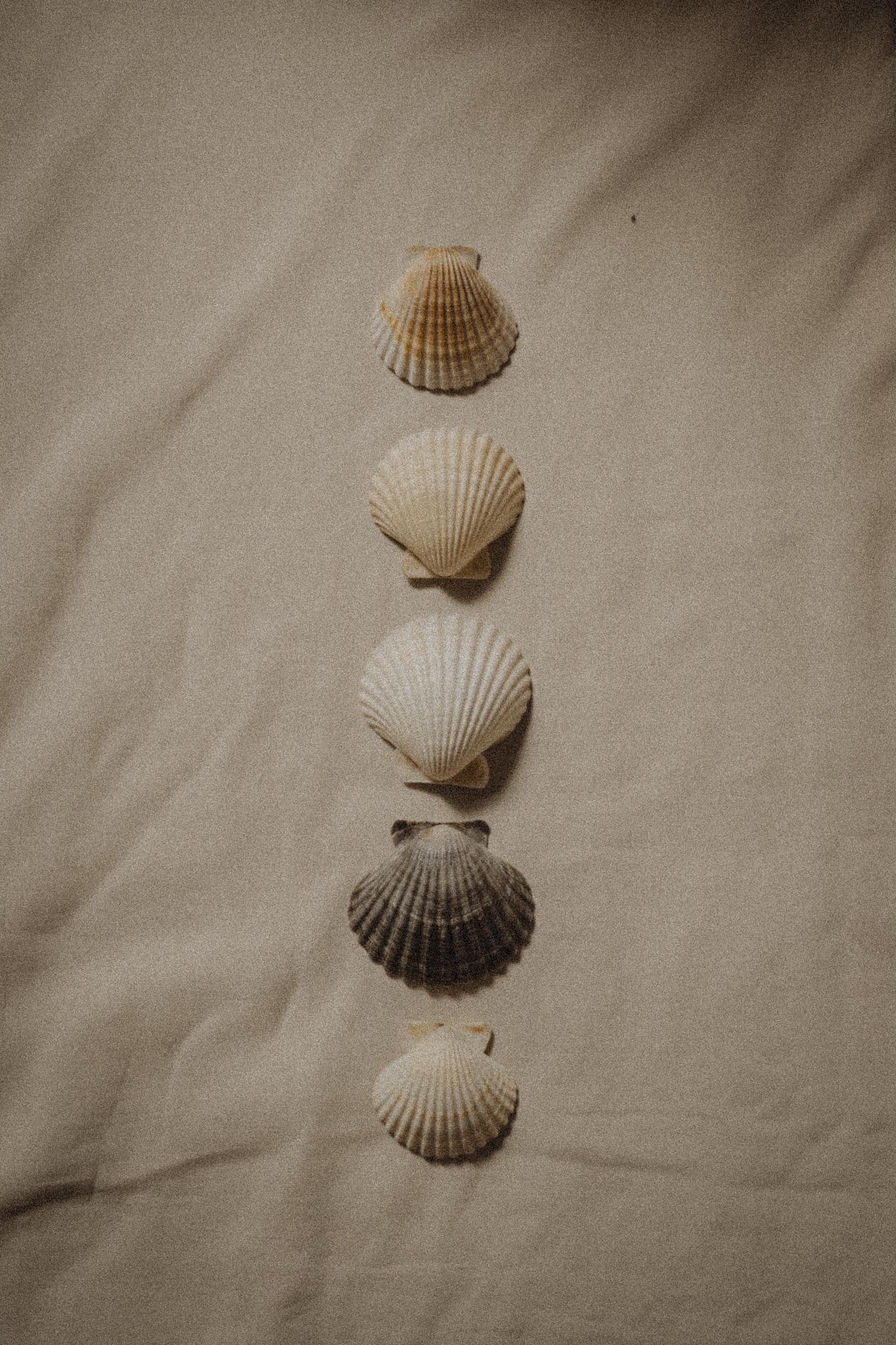 How I Weave Human Design and Astrology Together
